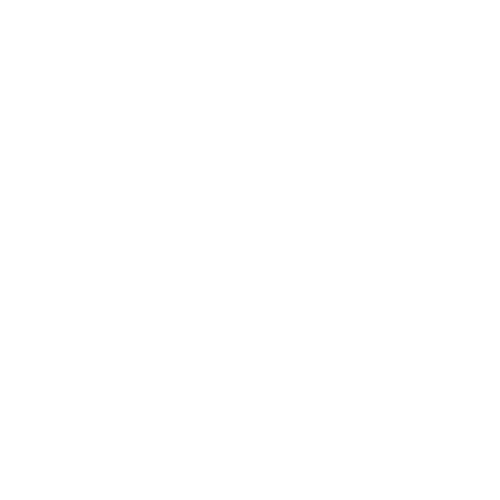 Standard Space Antennas LLc
