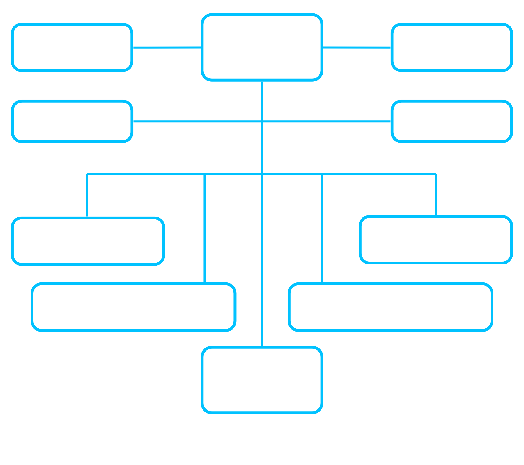 Functional Organization Structure SSA